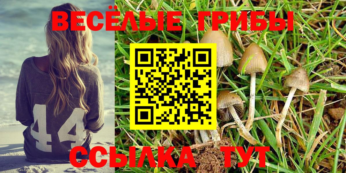 Псилоцибиновые грибы Cubensis  Вход с VPN  Торжок 
