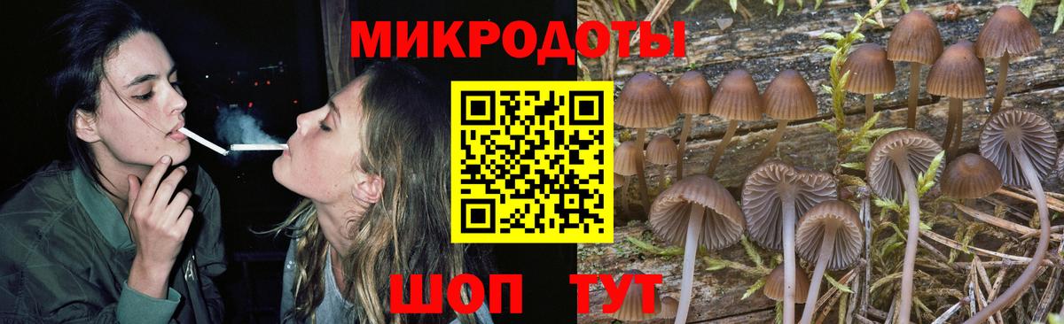 Галлюциногенные грибы Psilocybine cubensis Торжок
